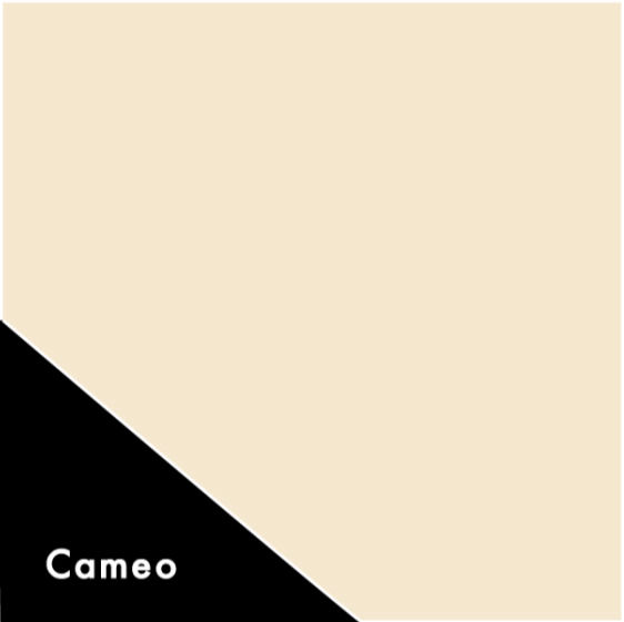 Cameo | Goodnight Gutters