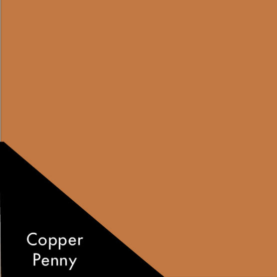 Copper Penny | Goodnight Gutters 